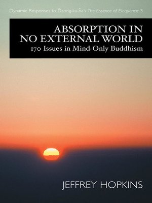 cover image of Absorption in No External World